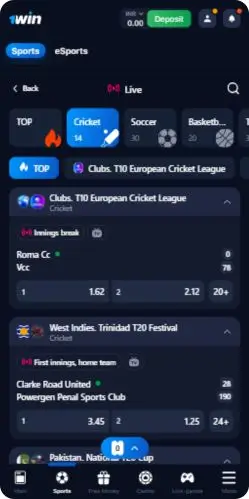 1Win Cricket section
